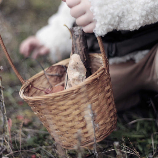 La chasse aux couleurs