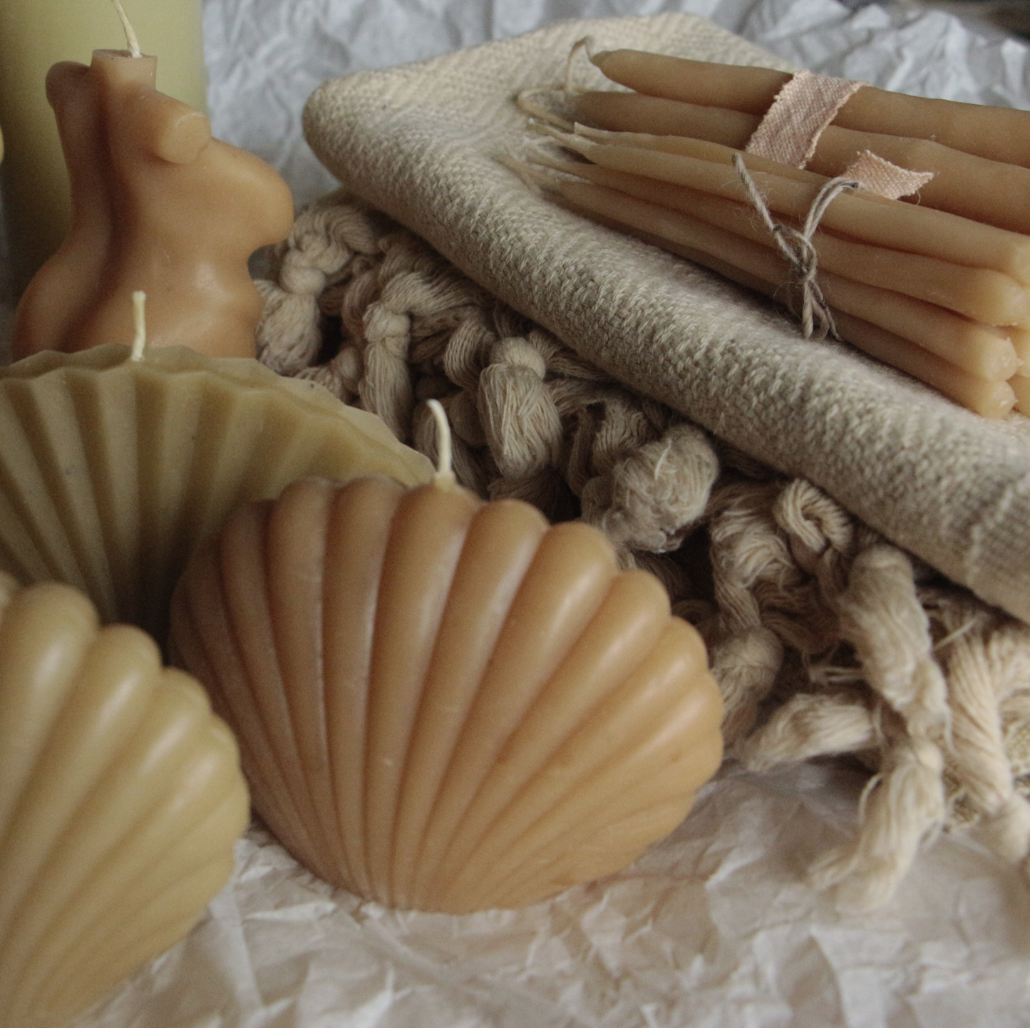 Chandelle - Coquillage