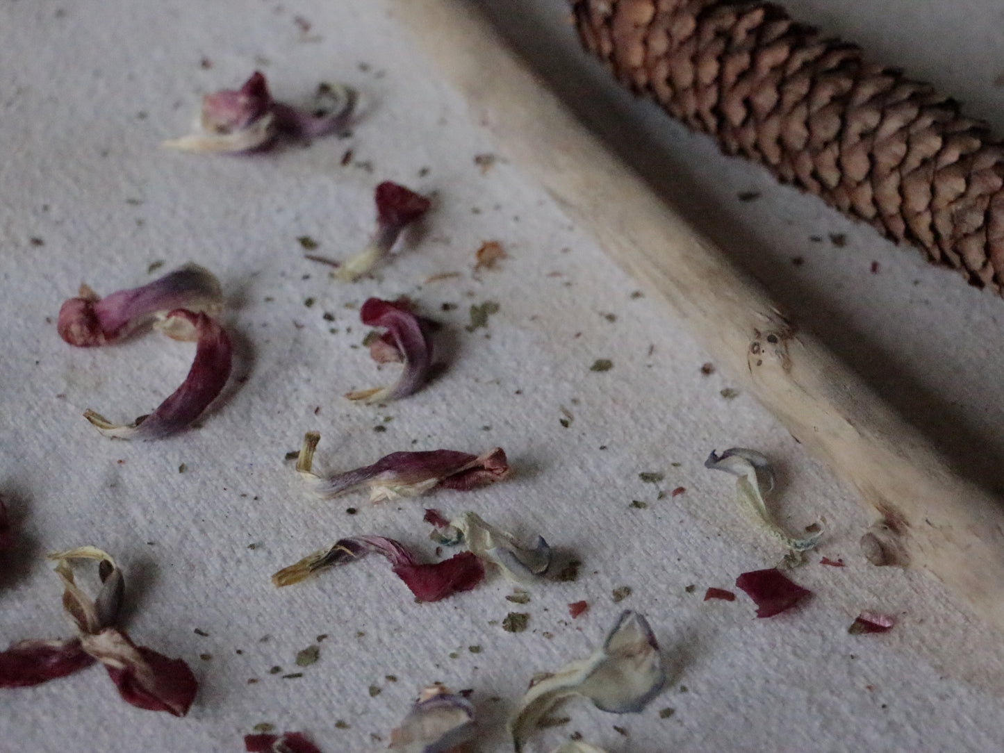 *Pre-order* % organic cotton plant-dyed scarf - Bandana